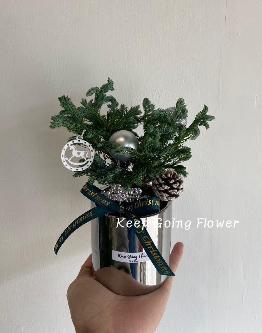 ▌PEPP-C003 ▌植栽-藍柏精緻植盆