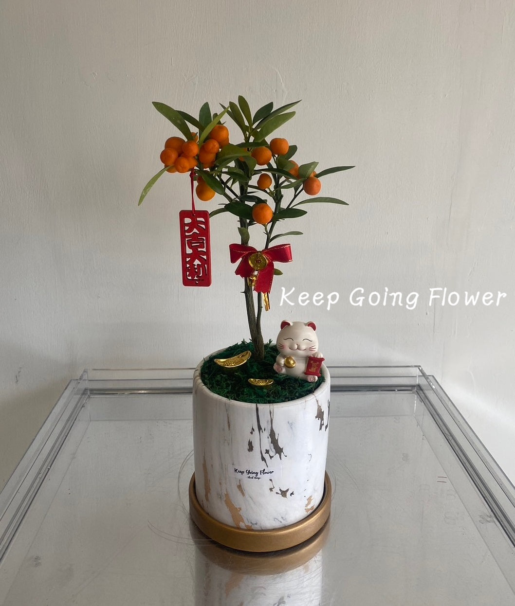 ▌NY-006 ▌植栽-招財金柑精緻植盆