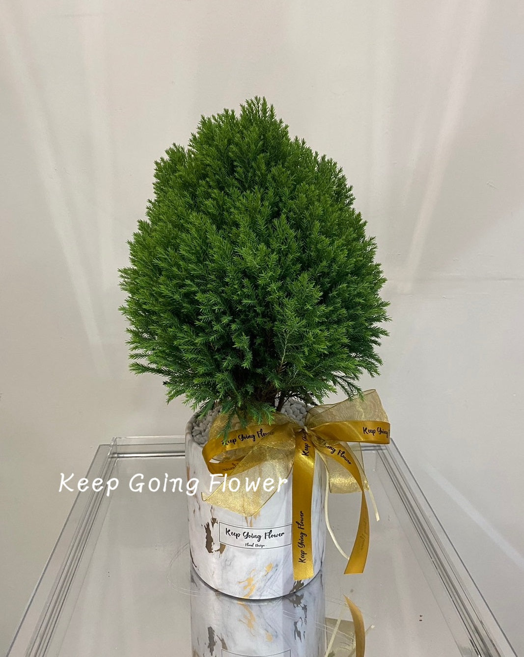 ▌PEPP-002 ▌植栽-翠綠馥郁精緻盆