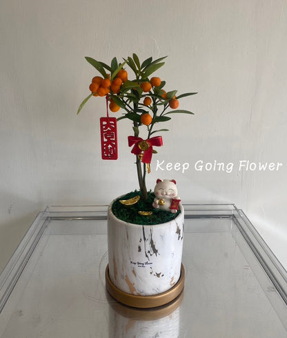▌NY-006 ▌植栽-招財金柑精緻植盆