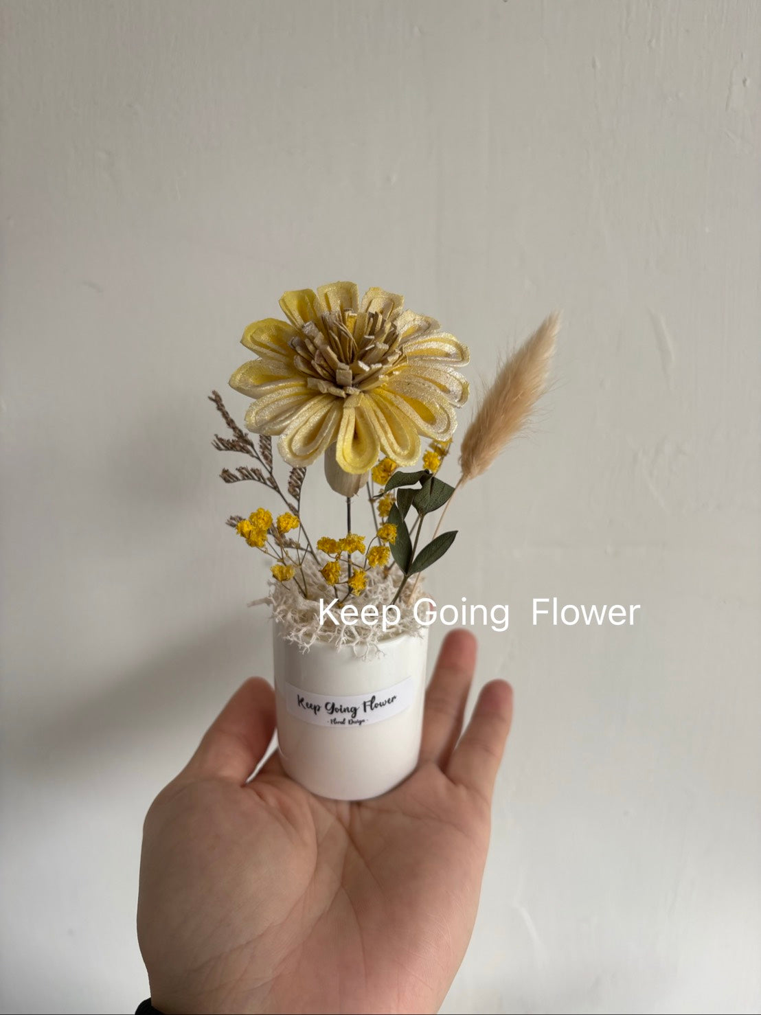 ▌SL-T-421 ▌索拉(擴香)花-太陽花-精緻掌上瓷盆-各色系