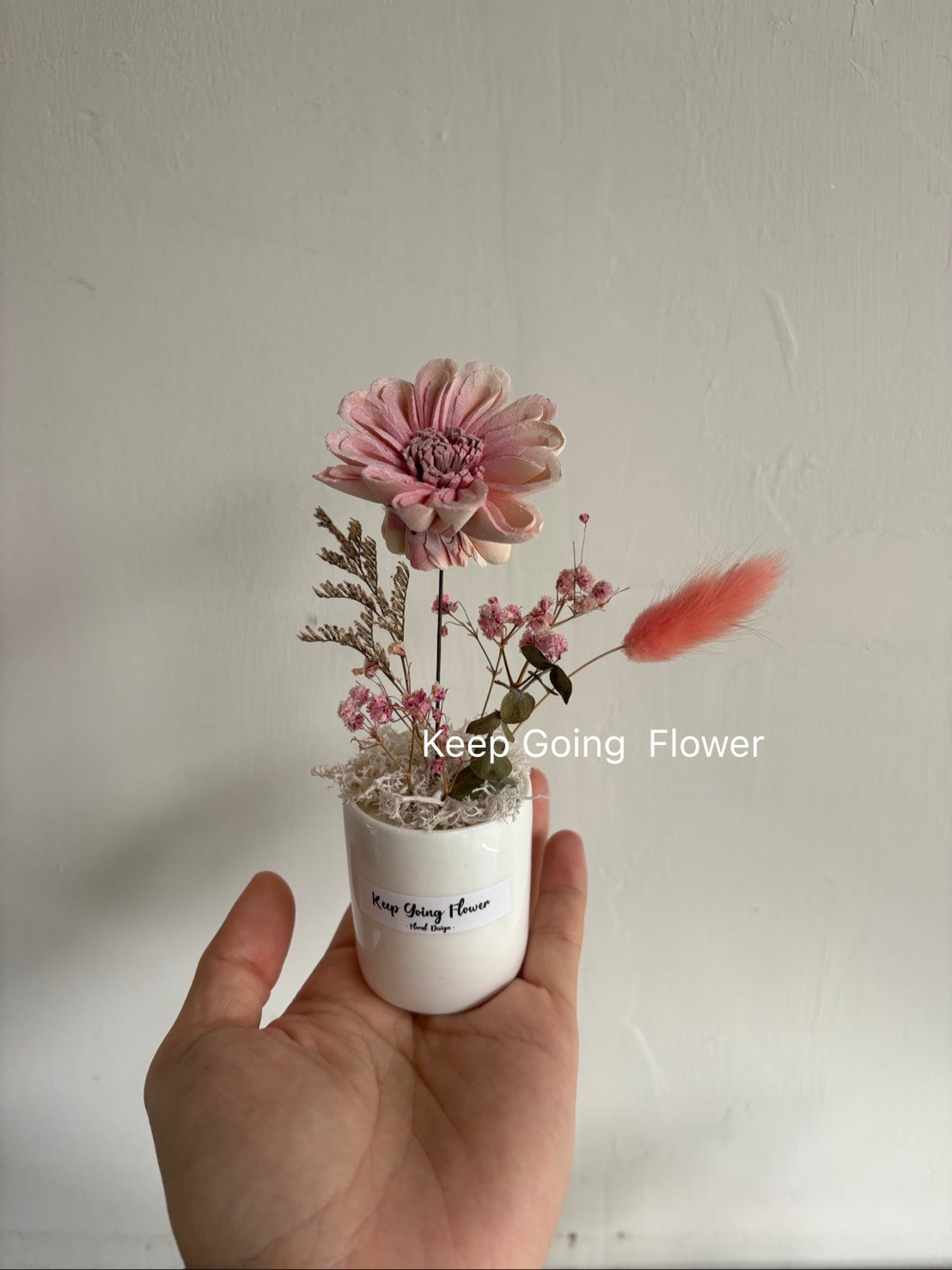 ▌SL-T-421 ▌索拉(擴香)花-太陽花-精緻掌上瓷盆-各色系