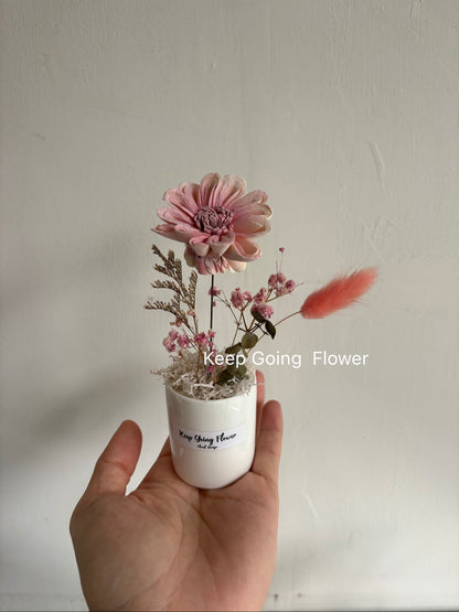 ▌SL-T-421 ▌索拉(擴香)花-太陽花-精緻掌上瓷盆-各色系