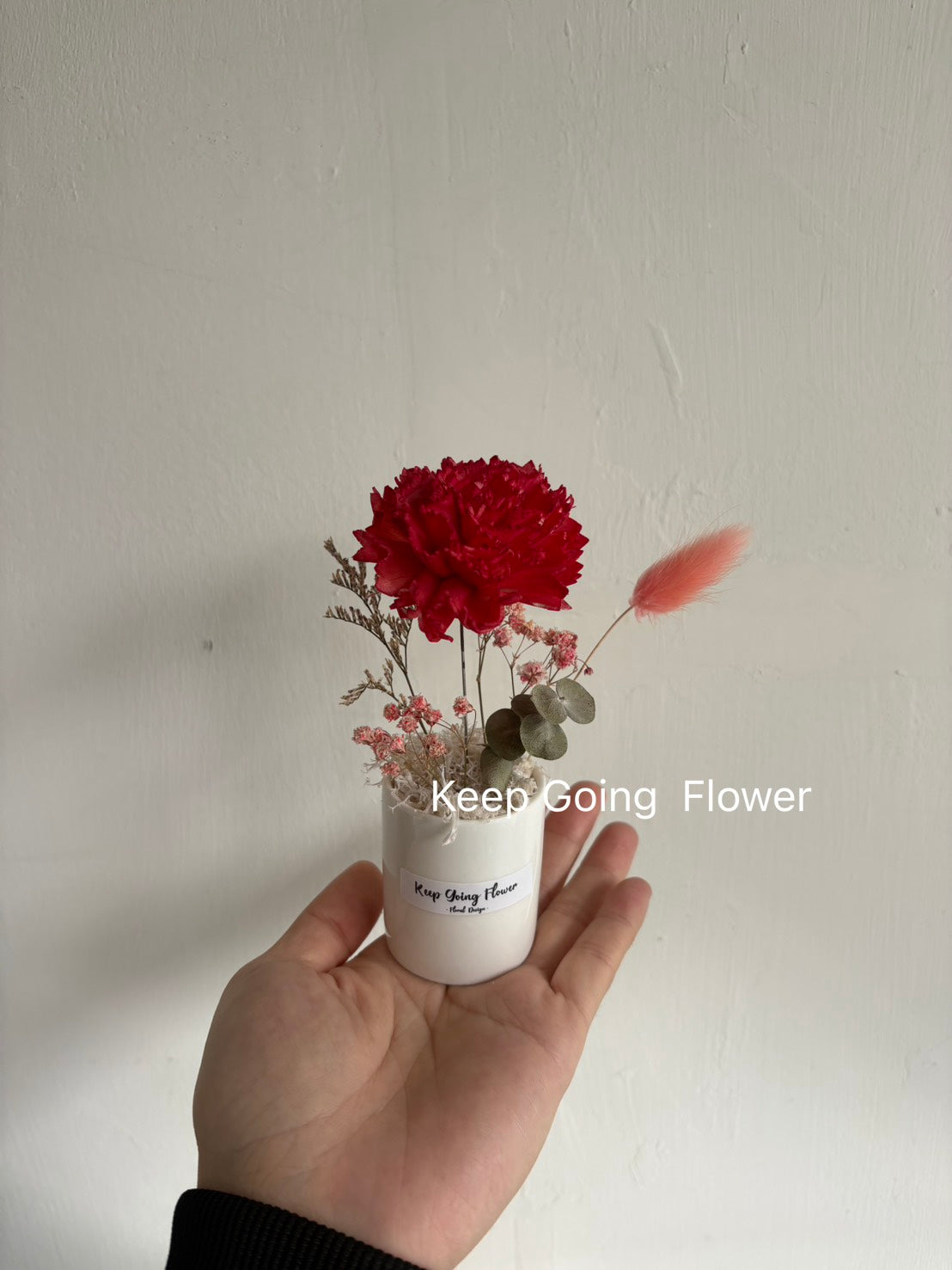 ▌SL-T-431 ▌索拉花(擴香)-康乃馨-掌上瓷盆-各色系