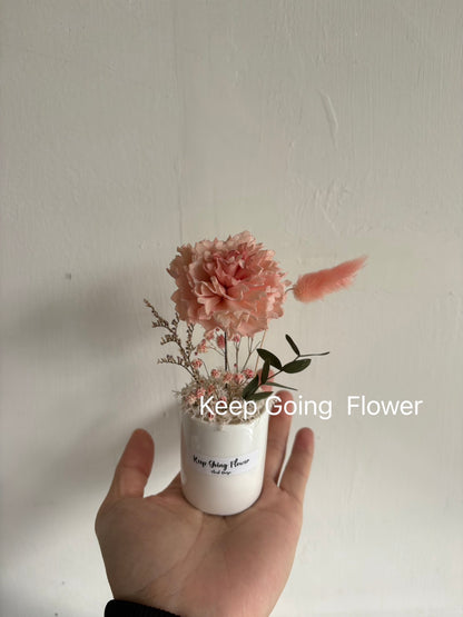 ▌SL-T-431 ▌索拉花(擴香)-康乃馨-掌上瓷盆-各色系