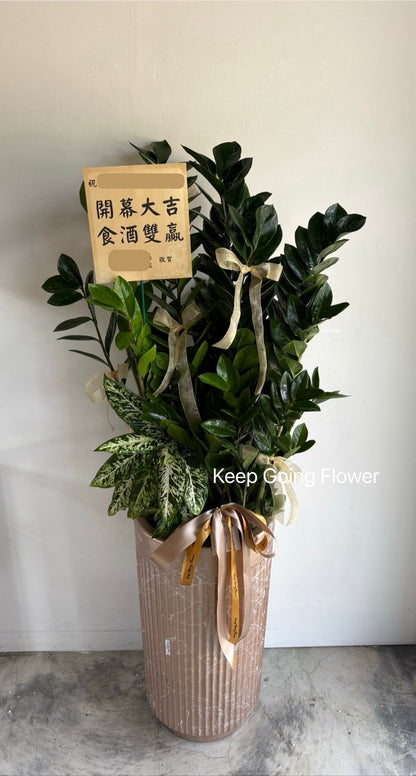 ▌P-FB-813 ▌植栽-富藏綠野-精緻盆栽